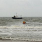 Jonge zeehond van wisse dood gered